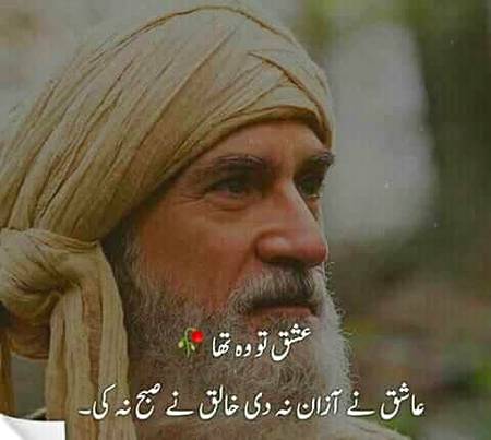 Good evening