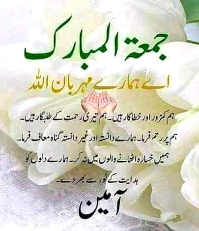 Good evening