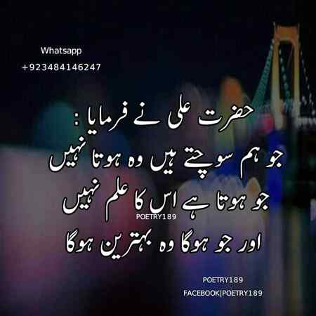 Good evening