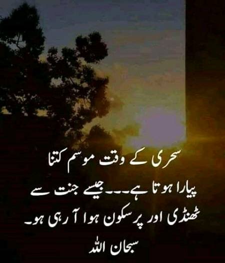 Good morning