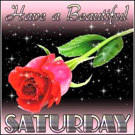Good morning