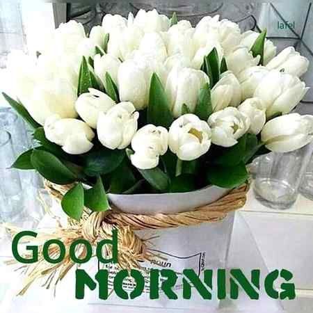Good morning