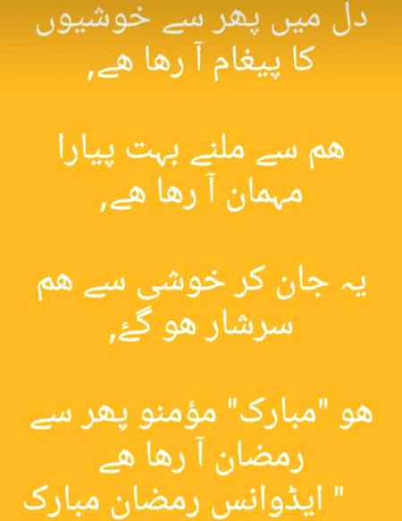 Good morning
