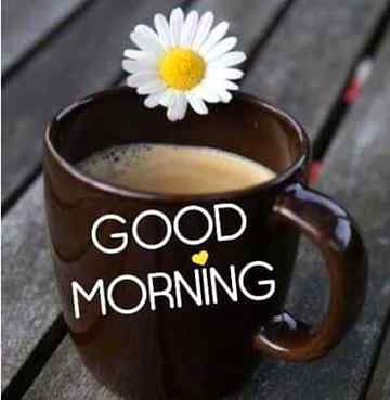 Good morning