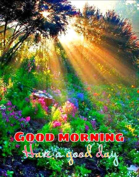 Good morning
