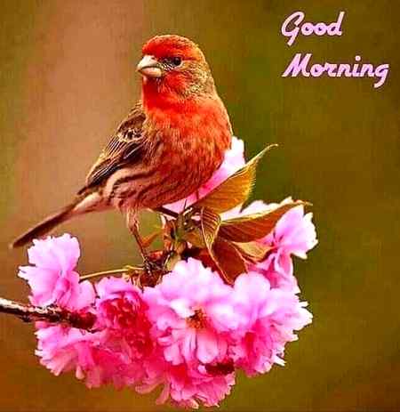 Good morning