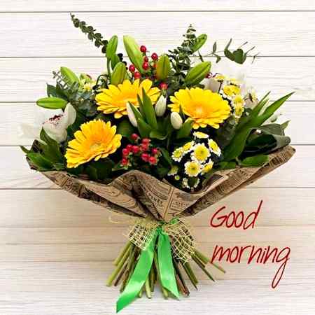 Good morning