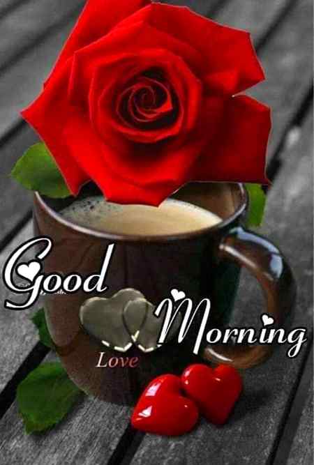 Good morning