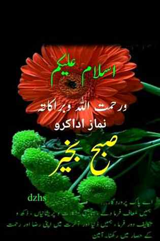 Good morning