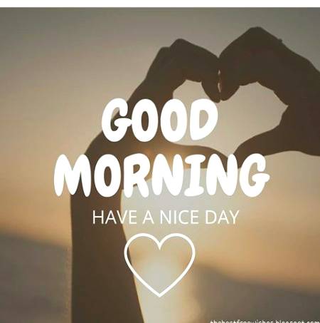 Good morning