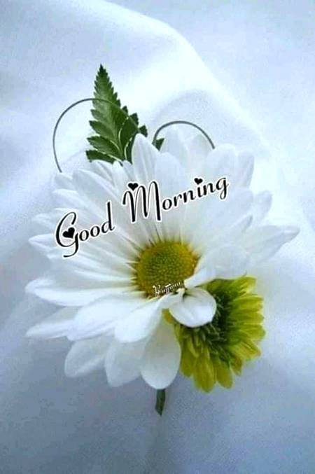 Good morning