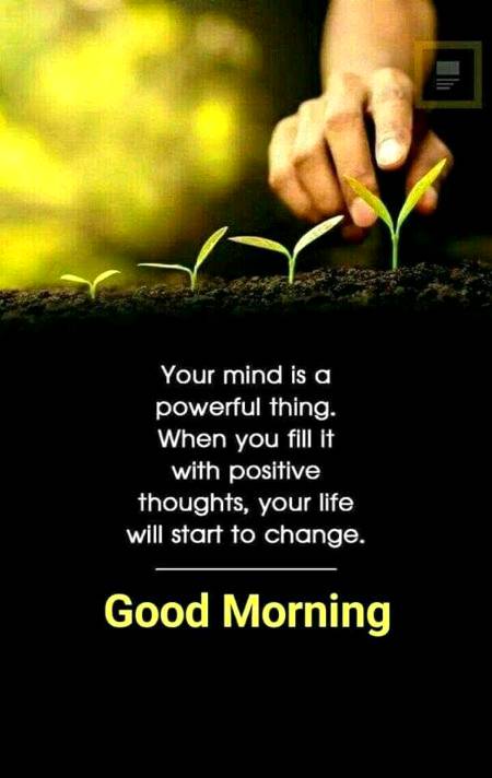 Good morning