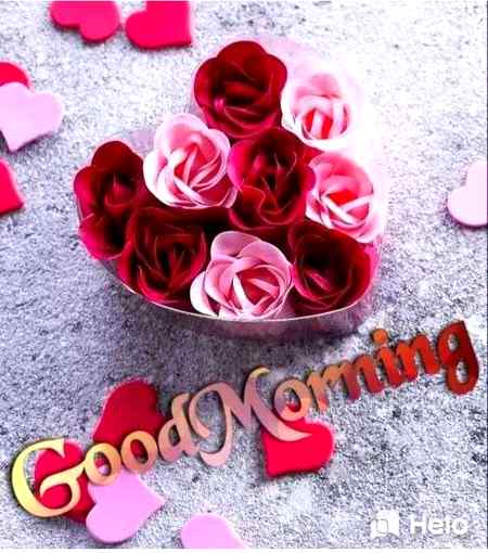 Good morning