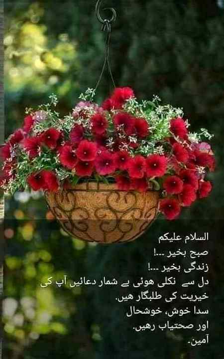 Good morning