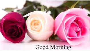 Good morning