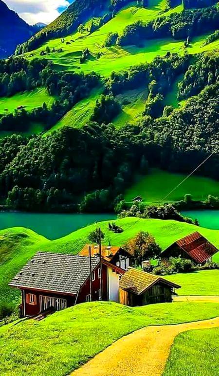Good morning