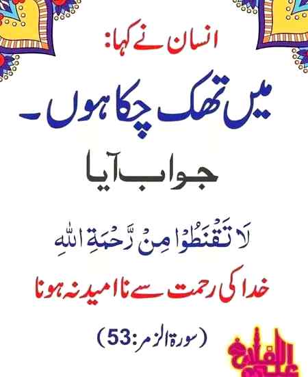 Good morning