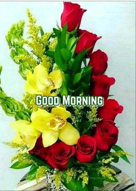 Good morning