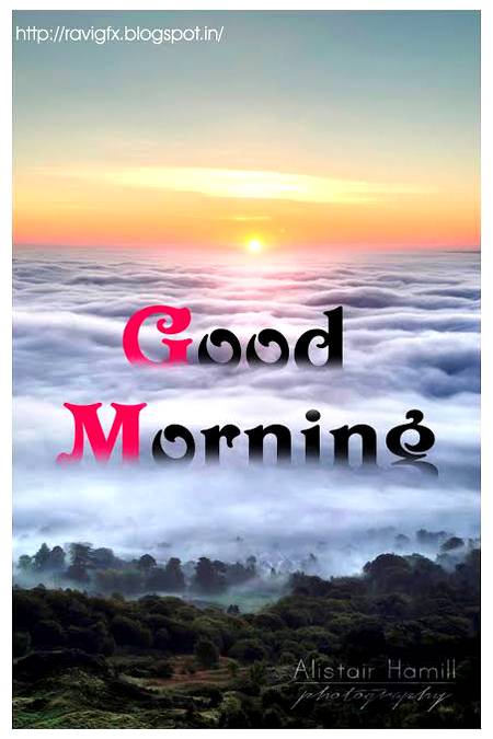 Good morning