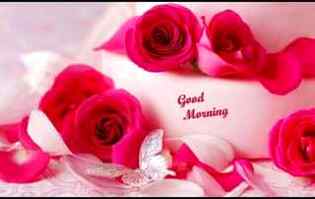 Good morning