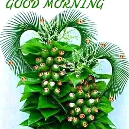 Good morning