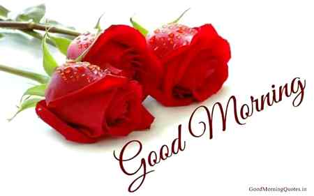 Good morning