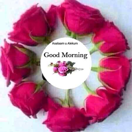 Good morning