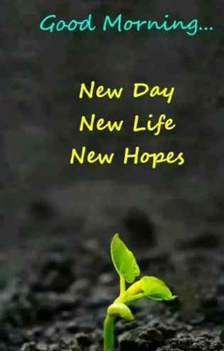 Good morning
