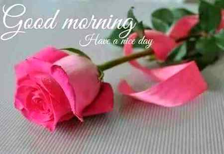 Good morning