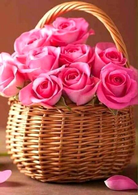 Good morning