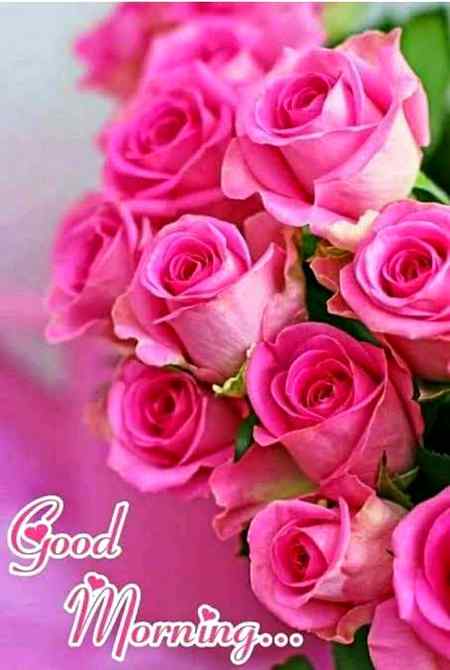 Good morning