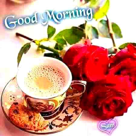 Good morning