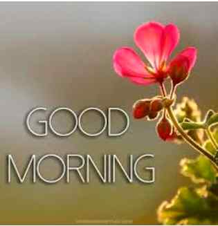 Good morning