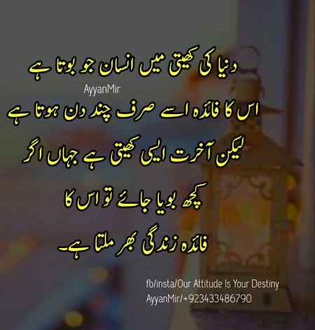 Good morning