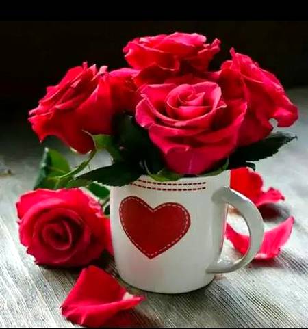 Good morning