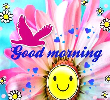 Good morning
