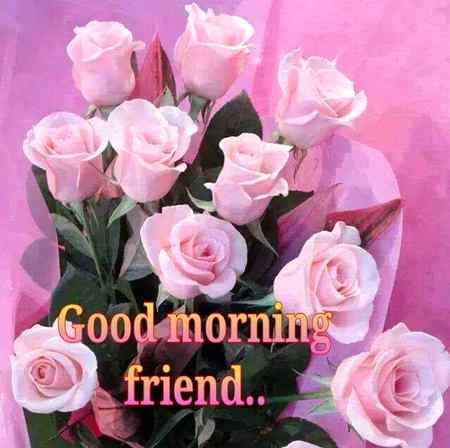 Good morning