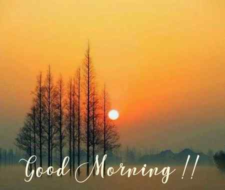 Good morning