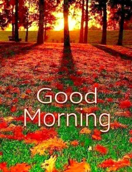 Good morning
