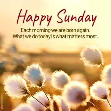Good morning