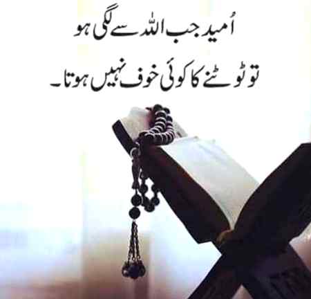 Good morning
