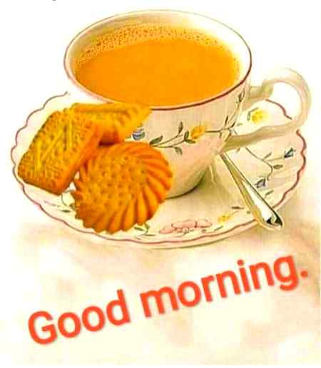 Good morning