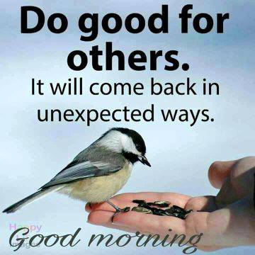 Good morning