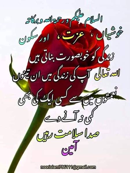 Good morning