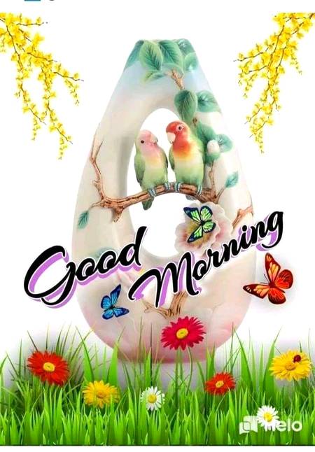 Good morning