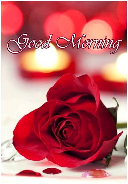 Good morning