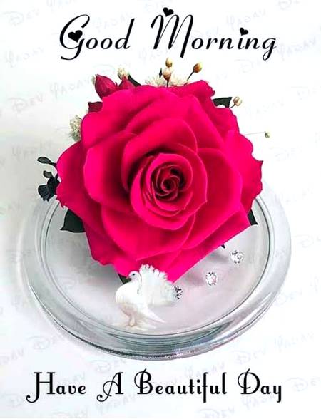 Good morning