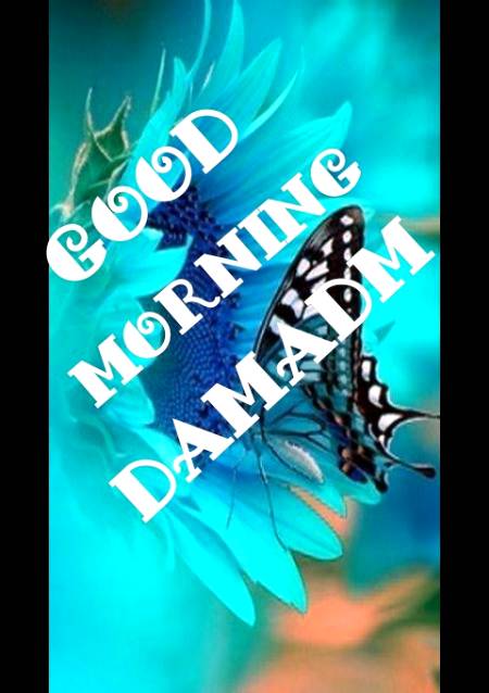 Good morning
