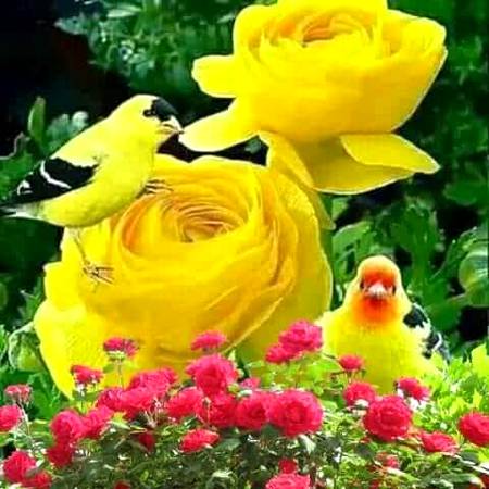 Good morning
