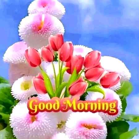 Good morning